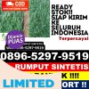 Jual Rumput Sintetis Meurah Dua.jpg