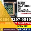 Distributor Rumput Palsu Cermee.jpg