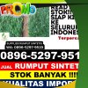 Penjual Rumput Palsu Kerumutan.jpg