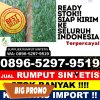 Jual Rumput Sintetis Montasik.jpg