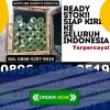 Agen Rumput Sintetis Campaka Mulya.jpg