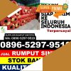 Grosir Rumput Imitasi Sarolangun.jpg