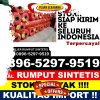 Distributor Rumput Plastik Petang.jpg