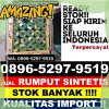 Agen Rumput Sintetis Cerme.jpg