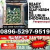 Distributor Rumput Palsu Cikarang Utara.jpg