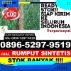 Penjual Rumput Palsu Kota Baru.jpg