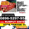 Gudang Rumput Sintetis Pringapus.jpg