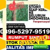 Gudang Rumput Imitasi Kubu.jpg