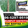 Penjual Rumput Palsu Kota Prabumulih.jpg