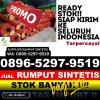 Jual Rumput Sintetis Nglegok.jpg