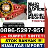 Grosir Rumput Plastik Onan Runggu.jpg