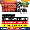 Penjual Rumput Plastik Tamban Catur.jpg