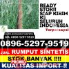 Jual Rumput Palsu Meral Barat.jpg