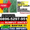 Penjual Rumput Palsu Kundur Barat.jpg