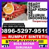 Jual Rumput Sintetis Pagelaran Utara.jpg