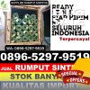 Agen Rumput Sintetis Darul Aman.jpg