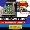 Gudang Rumput Plastik Beji.jpg