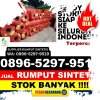 Agen Rumput Palsu Praya Timur.jpg