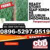 Jual Rumput Palsu Minas.jpg