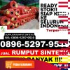 Distributor Rumput Plastik Rangsang Barat.jpg