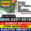 Distributor Rumput Palsu Dukuh Pakis.jpg