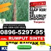 Gudang Rumput Imitasi Ligung.jpg