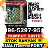 Gudang Rumput Plastik Bengalon.jpg