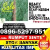 Penjual Rumput Palsu Lambitu.jpg