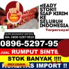 Jual Rumput Sintetis Panai Hilir.jpg