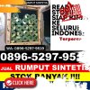 Gudang Rumput Plastik Binakal.jpg