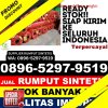 Distributor Rumput Plastik Ronggur Nihuta.jpg