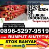 Jual Rumput Sintetis Panggarangan.jpg