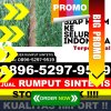 Penjual Rumput Palsu Lembar.jpg