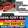 Jual Rumput Sintetis Panumbangan.jpg