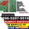 Penjual Rumput Palsu Limpung.jpg