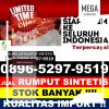 Distributor Rumput Plastik Sangatta Utara.jpg