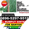 Penjual Rumput Palsu Long Hubung.jpg