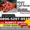 Gudang Rumput Sintetis Sei Suka.jpg