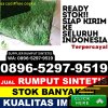 Agen Rumput Sintetis Gondang.jpg