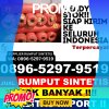 Penjual Rumput Plastik Tidore Timur.jpg