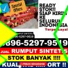 Grosir Rumput Plastik Pegagan Hilir.jpg