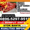 Distributor Rumput Plastik Sebangau Kuala.jpg