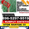 Penjual Rumput Palsu Lubuk Sikaping.jpg