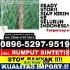 Gudang Rumput Imitasi Mappakasunggu.jpg