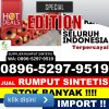 Jual Rumput Sintetis Pecalungan.jpg