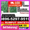 Penjual Rumput Palsu Maiwa.jpg