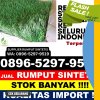 Agen Rumput Sintetis Gunungtanjung.jpg