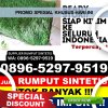 Distributor Rumput Palsu Jabon.jpg