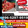 Jual Rumput Sintetis Pergetteng Getteng Sengkut.jpg