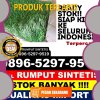 Agen Rumput Sintetis Huruna.jpg